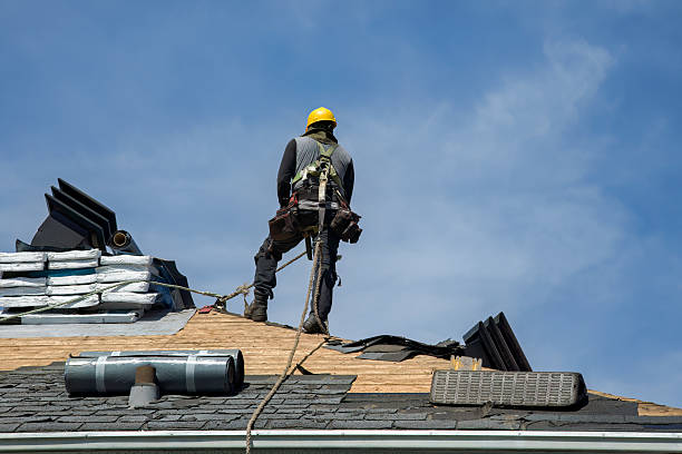 Professional Roof Replacement technician working in Stockton, MD